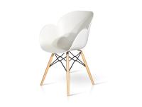 Foto sedie fano bar ristorante caffè struttura in legno e seduta e schienale in polipropilene